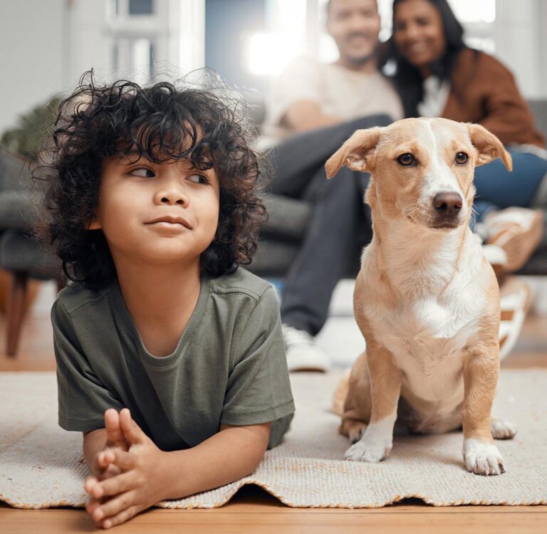 Pet Insurance AutoNation